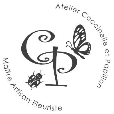 Coccinelle et Papillon